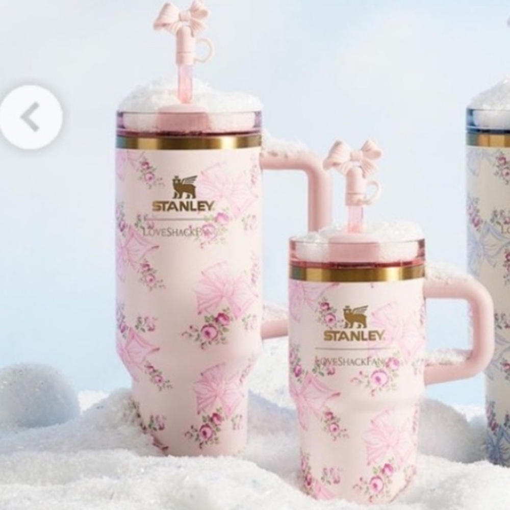 LOVESHACKFANCY STANLEY TUMBLER ROSA BEAUX PINK 40oz and 20oz Set
